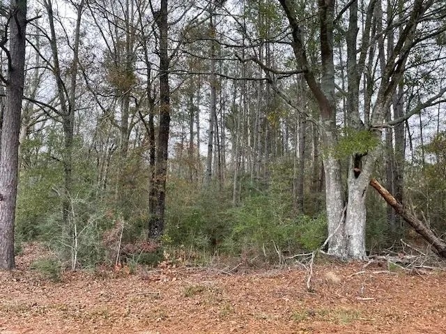 Campbell Rd 20 Ac featured image