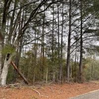 Campbell Rd 20 Ac images 2