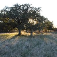 Rural acreage option 1.5 hours West of Downtown Ft. Worth images 4