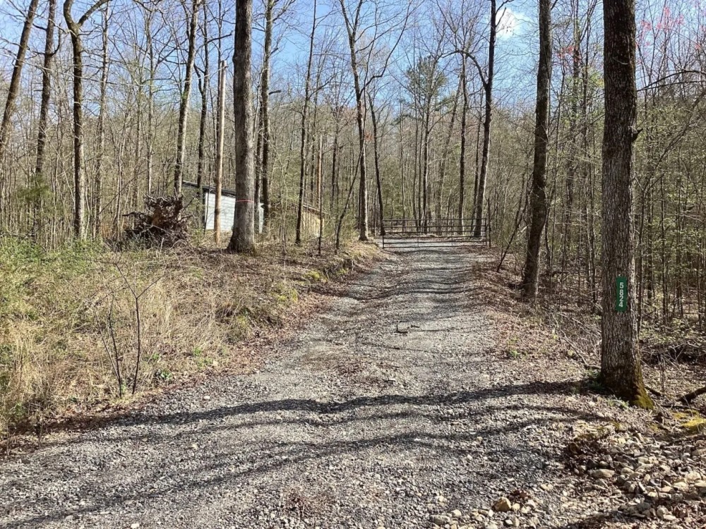 18.09 Acres in Polk County AR featured image