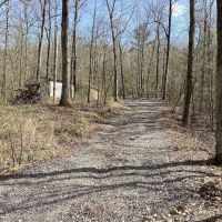 18.09 Acres in Polk County AR