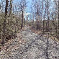 18.09 Acres in Polk County AR images 2