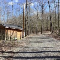 18.09 Acres in Polk County AR images 4