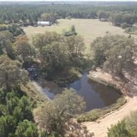 Morris County TX Hunting Recreational Ranch For SaleMorris County TX Hunting Recreational Ranch For Sale images 5