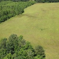 40.33 Acres Undeveloped Land De Kalb TX Bowie County images 3