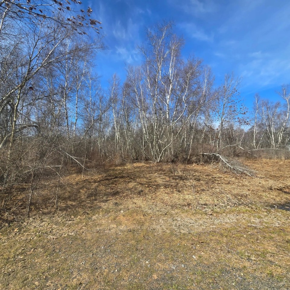 16 acre Building Lot Power Available Orleans NY featured image
