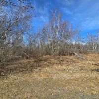 16 acre Building Lot Power Available Orleans NY