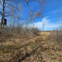 16 acre Building Lot Power Available Orleans NY images 3