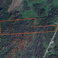 16 acre Building Lot Power Available Orleans NY images 5