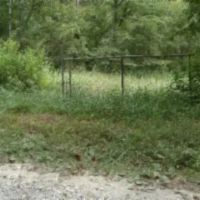 247.31 AC W CREEK THROUGH THE PROPERTY MARKETABLE TIMBER BUILDING SITES MORE images 3