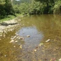 247.31 AC W CREEK THROUGH THE PROPERTY MARKETABLE TIMBER BUILDING SITES MORE images 5