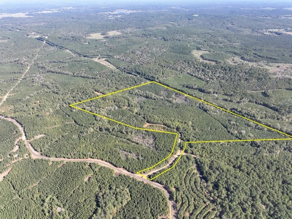 145 Acres County Road 1060 T-5 featured image