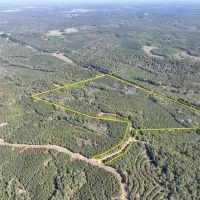 145 Acres County Road 1060 T-5