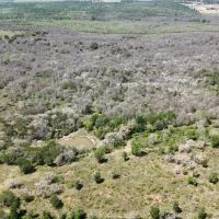TBD White Tail Dr Cedar Creek Texas 78612 images 2
