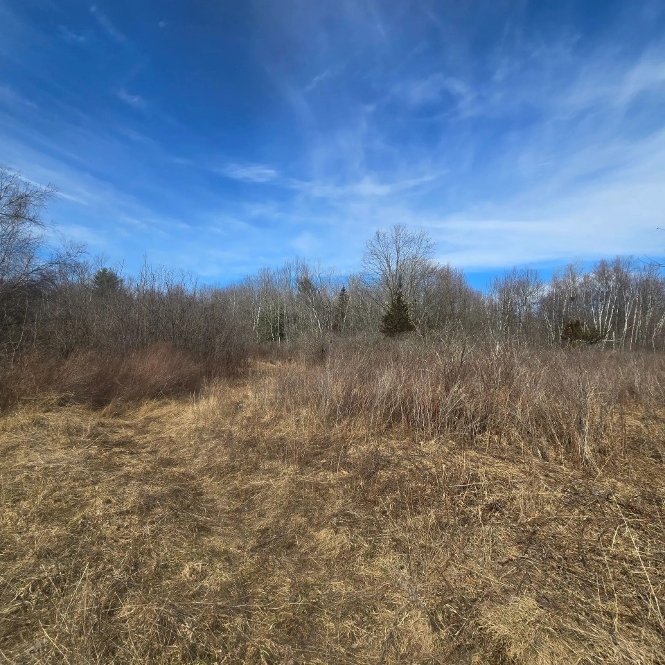 9 acre Building Lot Power Available Orleans NY featured image