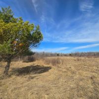 9 acre Building Lot Power Available Orleans NY images 2