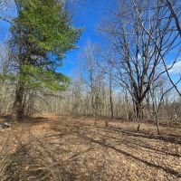 9 acre Building Lot Power Available Orleans NY images 3