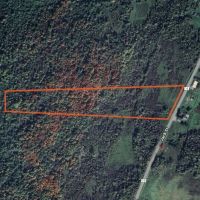 9 acre Building Lot Power Available Orleans NY images 5
