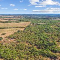 23 -Acres Tract 3 Hwy 6 Moran TX 76464 images 4