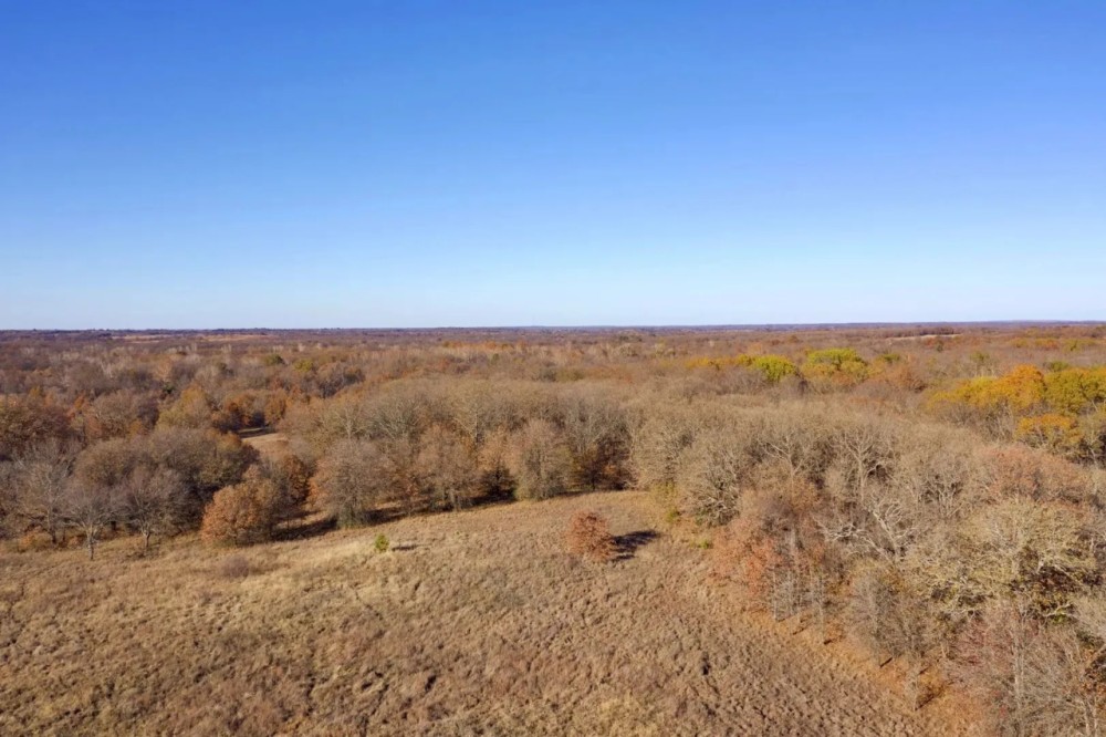 Great 20-Acre Tract featured image