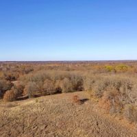 Great 20-Acre Tract