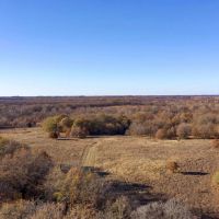 Great 20-Acre Tract images 2