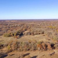 Great 20-Acre Tract images 5