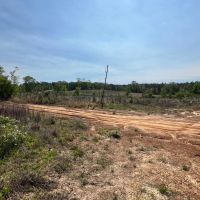 64 Acre Timberland Hunting Property Jackson Parish North LA images 2