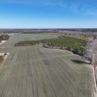 49.04 acres of Farm Residential and Recreational Land for Sale in Gates County NC images 2