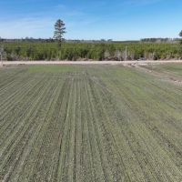 49.04 acres of Farm Residential and Recreational Land for Sale in Gates County NC images 3