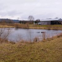 East Tennessee Farm for Sale 74.83 Acres in Greene County images 3
