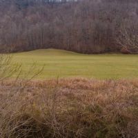 East Tennessee Farm for Sale 74.83 Acres in Greene County images 4