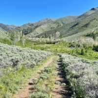 Iron Mine Ranch