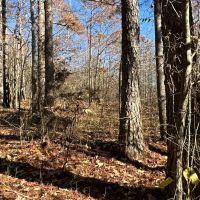 Family Compound Tract