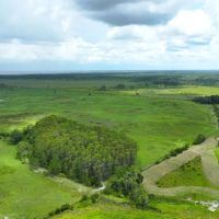 Osceola Legacy Ranch images 2