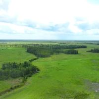Osceola Legacy Ranch images 5
