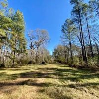 Home 110 Acres- Amite Co. MS images 3