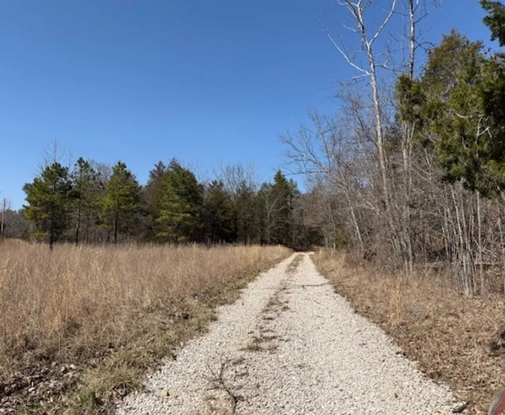 80 Acres Springs Creek Pond 50x100 Red Iron Shop Drill Well Electric Shannon County MO featured image