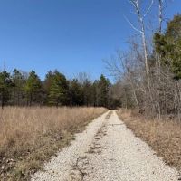 80 Acres Springs Creek Pond 50x100 Red Iron Shop Drill Well Electric Shannon County MO