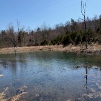80 Acres Springs Creek Pond 50x100 Red Iron Shop Drill Well Electric Shannon County MO images 2