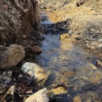 80 Acres Springs Creek Pond 50x100 Red Iron Shop Drill Well Electric Shannon County MO images 4