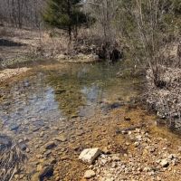 80 Acres Springs Creek Pond 50x100 Red Iron Shop Drill Well Electric Shannon County MO images 5