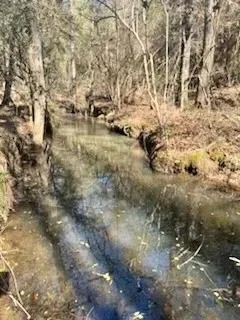 13 acres Walthall Co. featured image