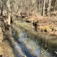 13 acres Walthall Co.