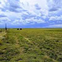 Beard Ranch images 2