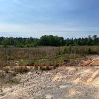 Jackson Parish Timber Tract 5A