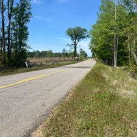 Jackson Parish Timber Tract 5A images 3