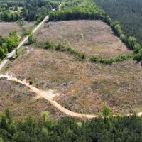 Jackson Parish Timber Tract 5A images 5