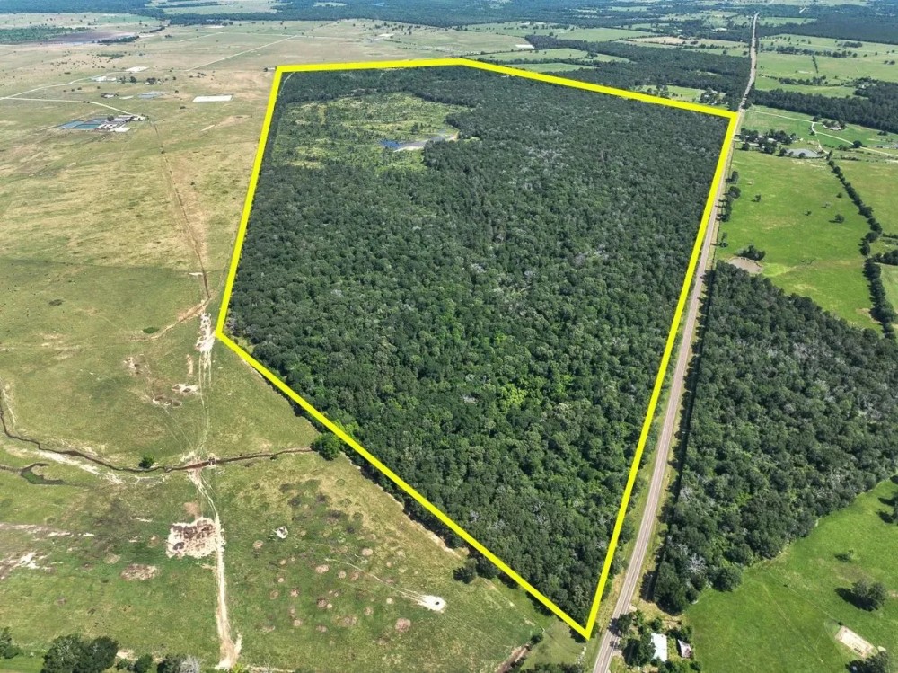 425 Acres FM 230 featured image