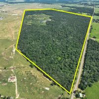425 Acres FM 230
